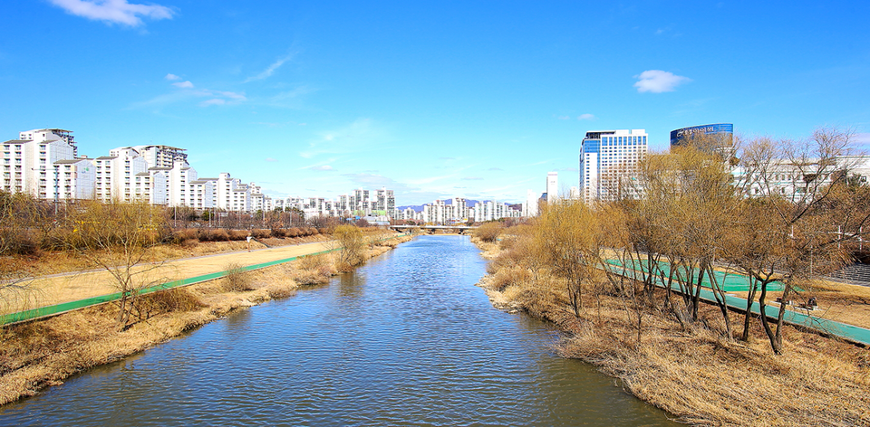 성남을 흐르는 탄천 전경. (사진 성남시)/뉴스펭귄