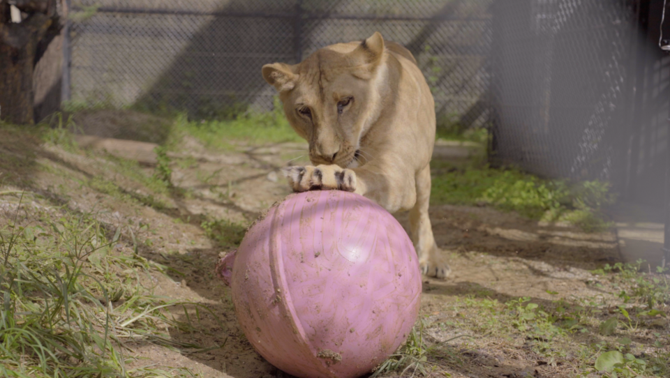  (사진 청주시청 공식 블로그)/뉴스펭귄