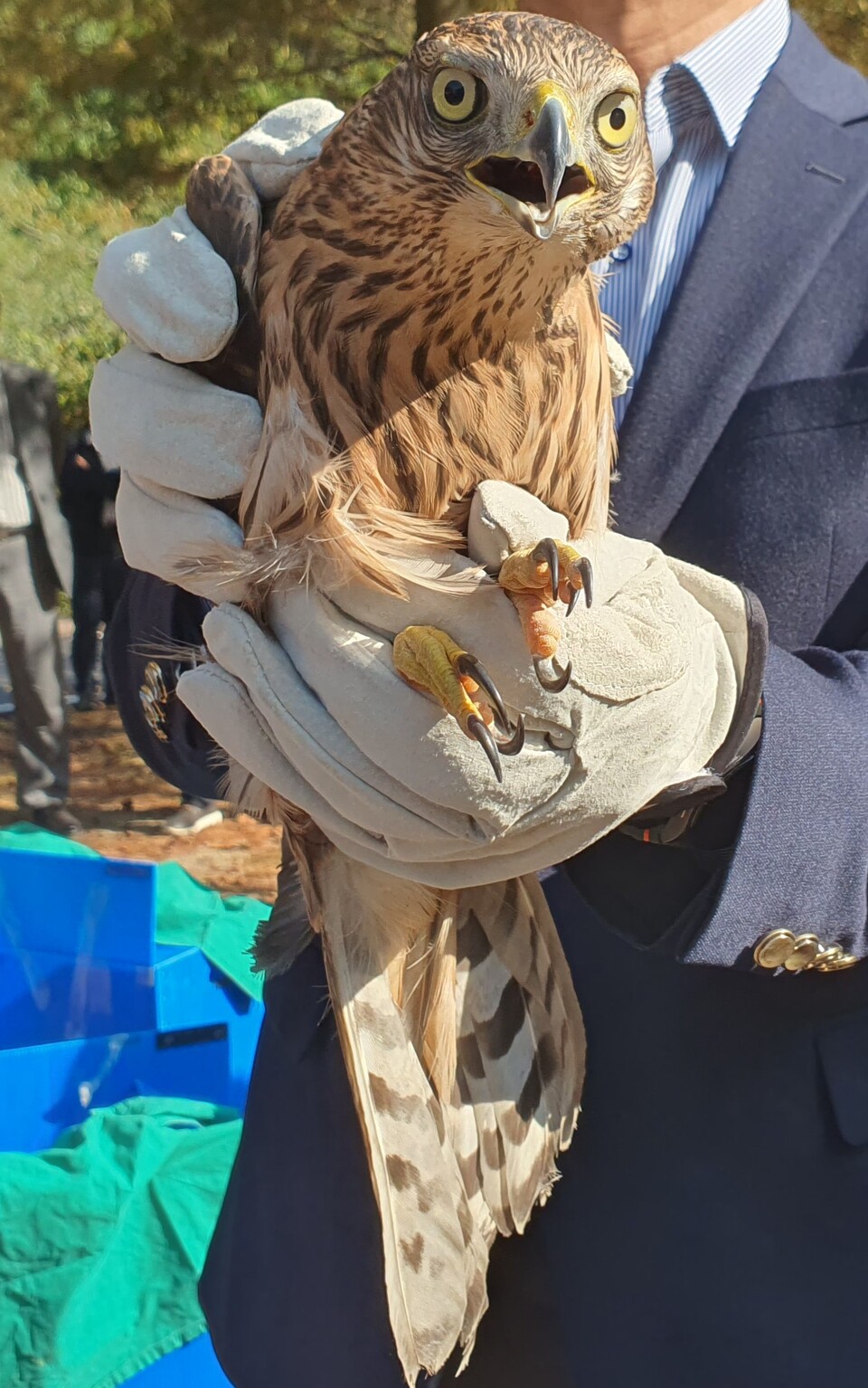  ( ̰ )/