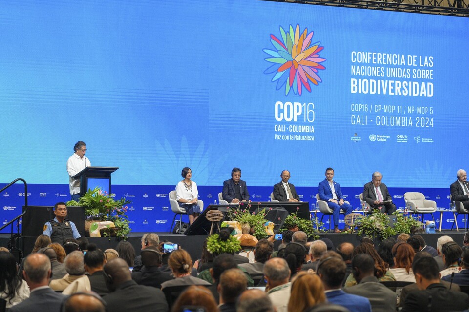 현지시간으로 지난 21일 제16차 생물다양성협약 당사국 총회가 콜롬비아 칼리에서 개막했다. 총회는 11월 1일까지 진행된다. (사진 생물다양성협약(CBD) 사무국 공식 계정)/뉴스펭귄