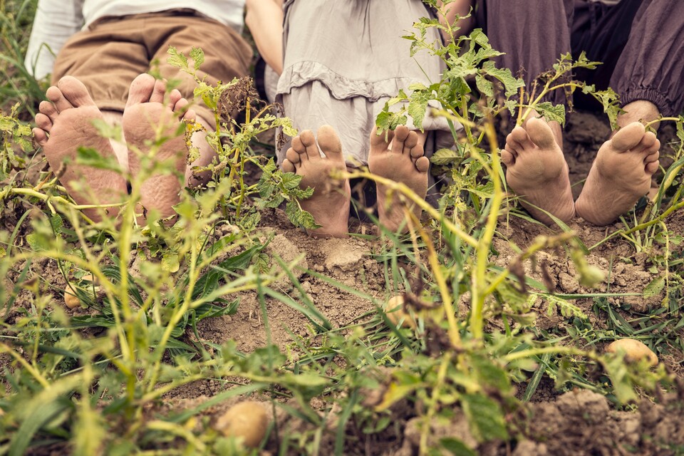(사진 클립아트코리아)/뉴스펭귄