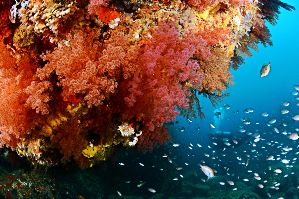 지난 7일, 국립공원공단이 공개한 제23회 국립공원 사진 공모전 우수상 작품. (사진 국립공원공단)/뉴스펭귄