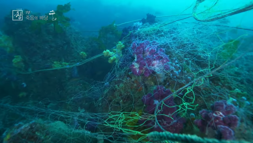 두 달 전 방영됐던 KBS 시사기획 창 '죽음의 바당' 장면. (사진 KBS 시사기획 창 '죽음의 바당' 캡처)/뉴스펭귄