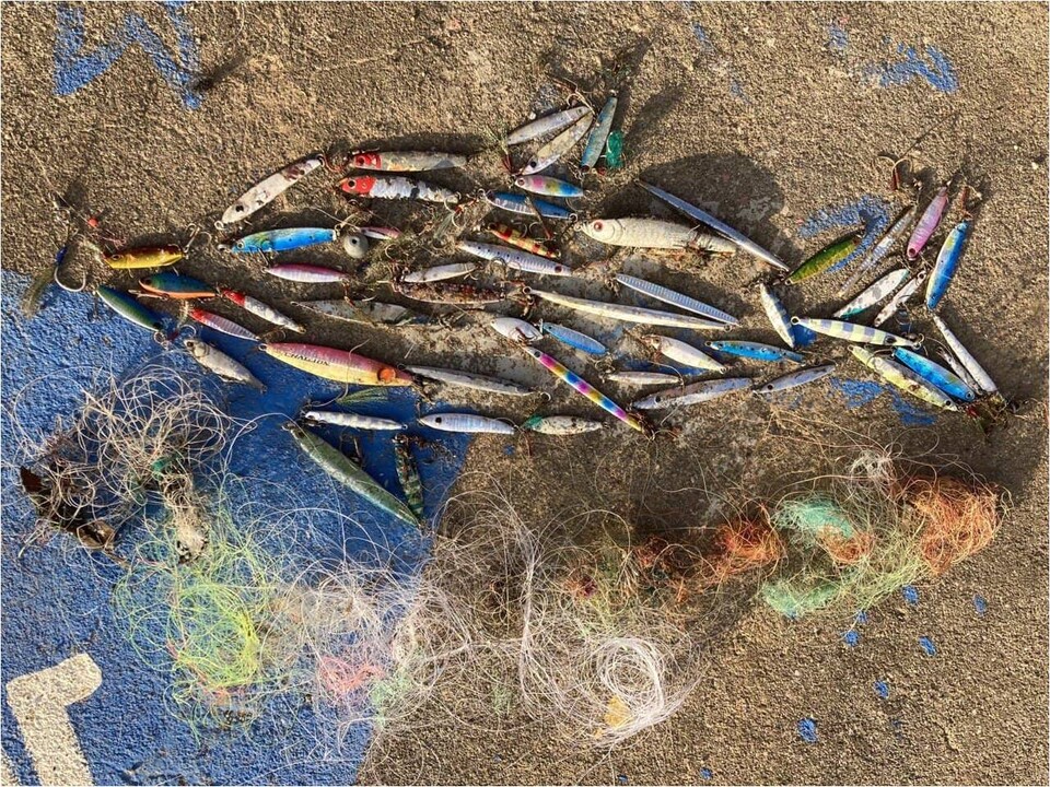 핫핑크돌핀스가 대정읍 노을해안로 연안에서 버려진 인조 미끼와 낚싯줄을 수거했다. (사진 핫핑크돌핀스)/뉴스펭귄