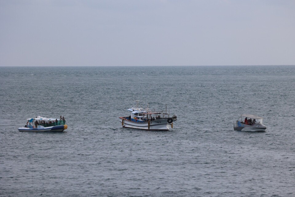 지난 14일, 서귀포 대정읍 앞바다에 돌고래 관광선박이 몰려 있다. (사진 핫핑크돌핀스)/뉴스펭귄