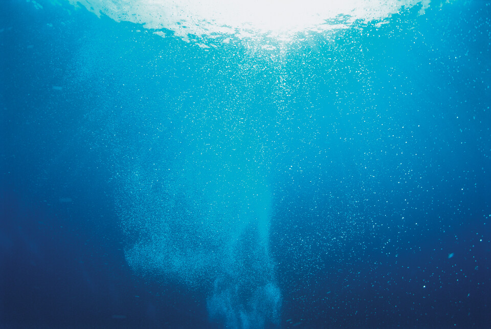 해수의 온도 상승 자체보다 이로 인한 식물성 플랑크톤의 감소가 해양 생태계에 더 큰 영향을 끼친다는 연구 결과가 나왔다. (사진 클립아트코리아)/뉴스펭귄