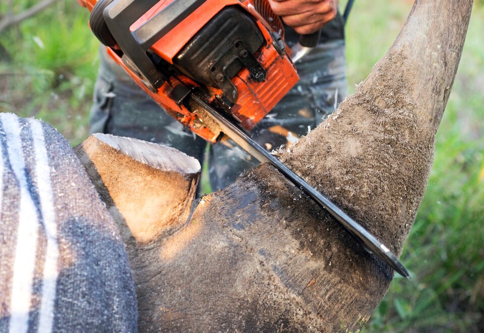 (사진 클립아트코리아)/뉴스펭귄