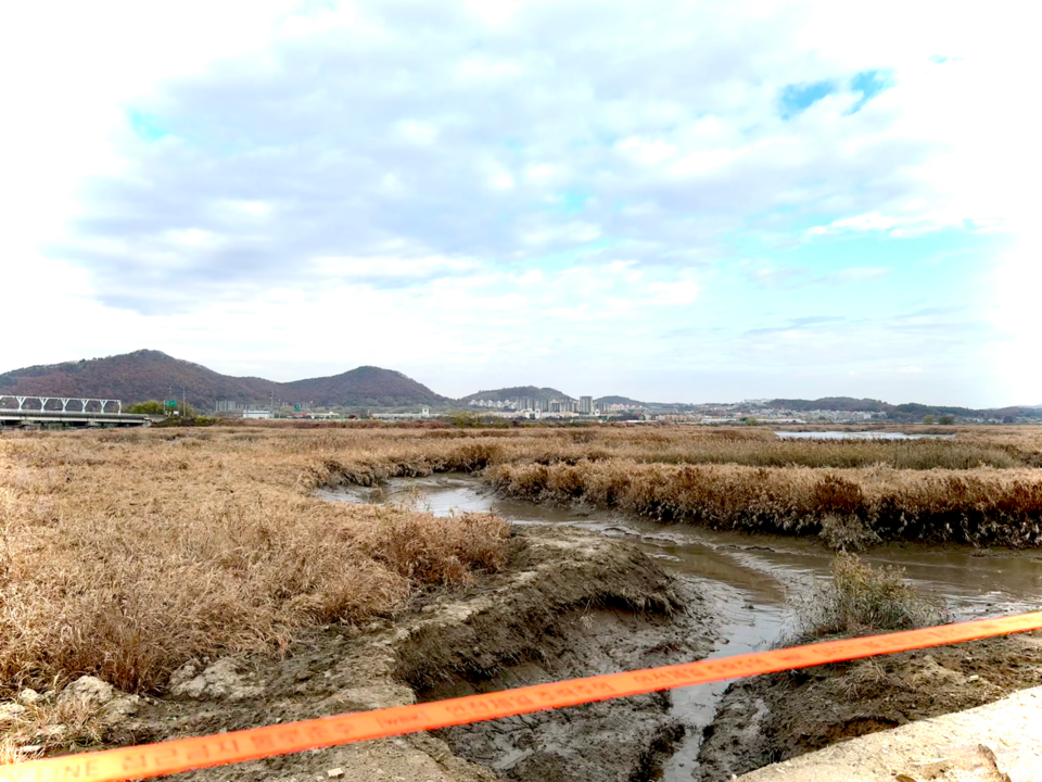공사를 위한 임시 가도를 설치하며 메꿔진 자리는 환경부 멸종위기 야생생물 2급인 붉은발말똥게들이 서식하고 있다고 알려진 곳이다. (사진 이동재 기자)/뉴스펭귄