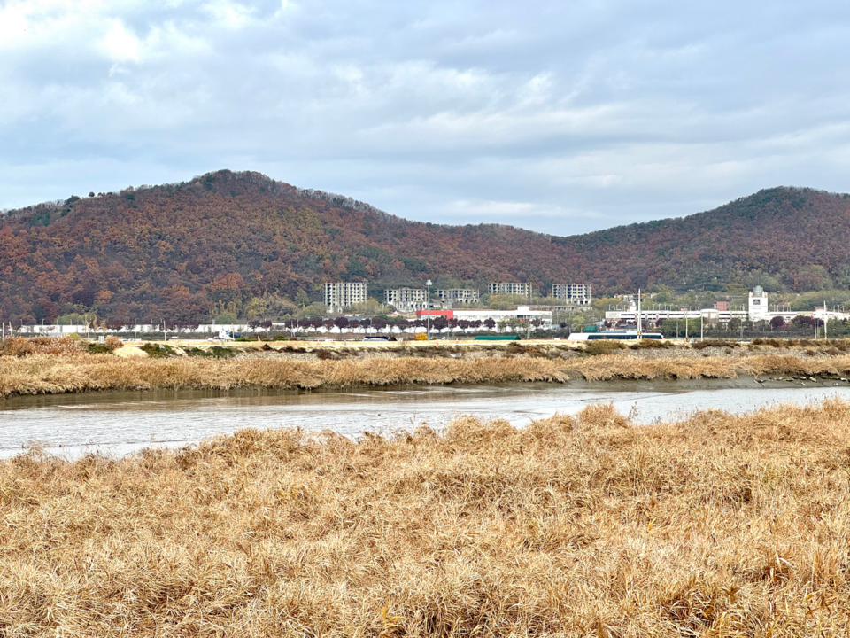 임진강과 한강의 물길이 만나는 곳에 자리한 공릉천 하구는 예로부터 항상 물이 많아 큰 비가 오면 넘치는 범람원이었다. (사진 이동재 기자)/뉴스펭귄