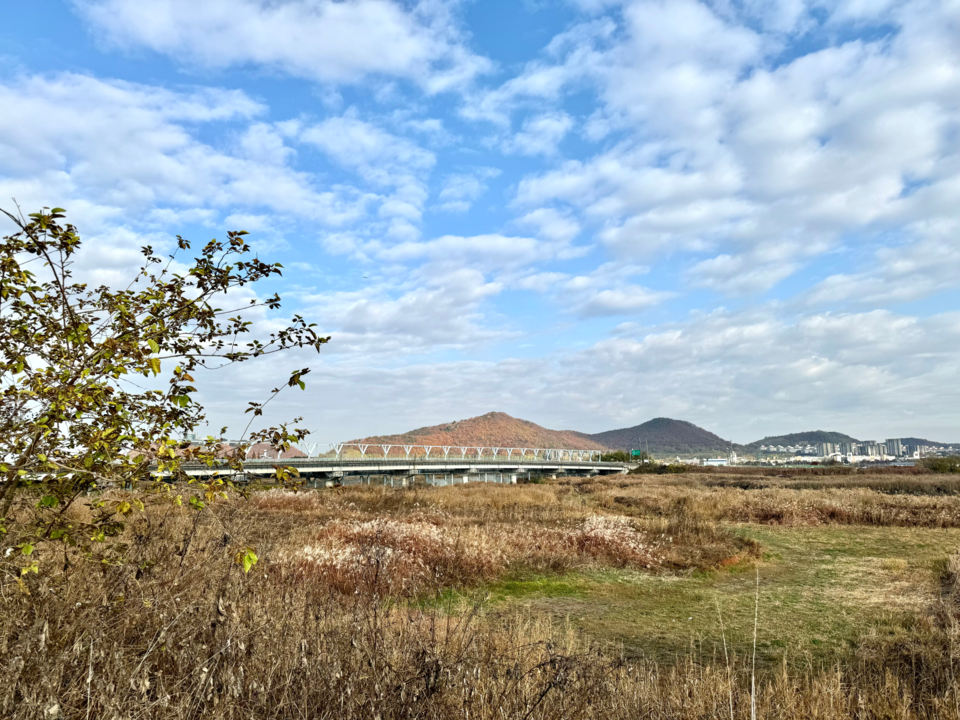 공릉천 하구 송촌교. (사진 이동재 기자)/뉴스펭귄
