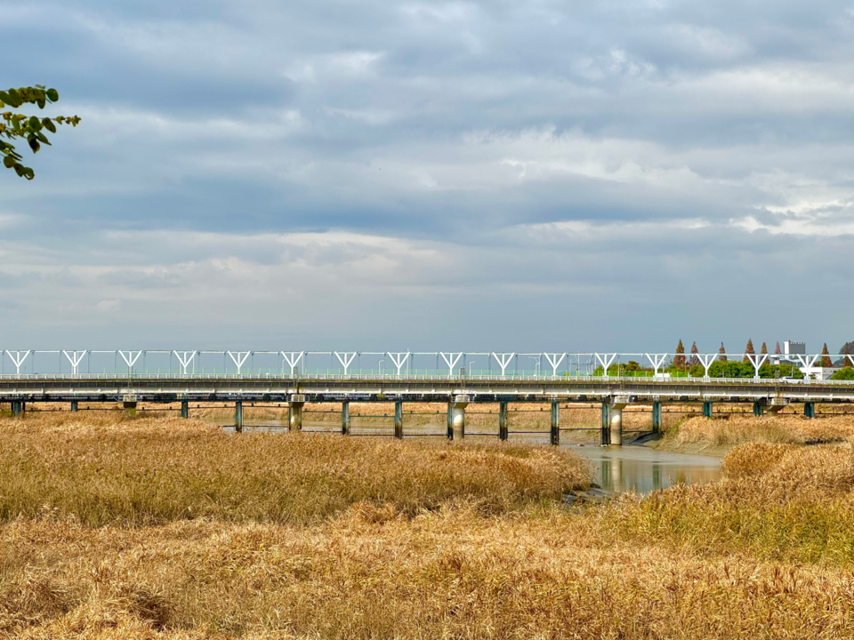 송촌교. (사진 이동재 기자)/뉴스펭귄