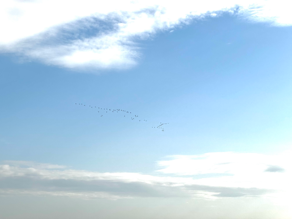 (사진 이동재 기자)/뉴스펭귄