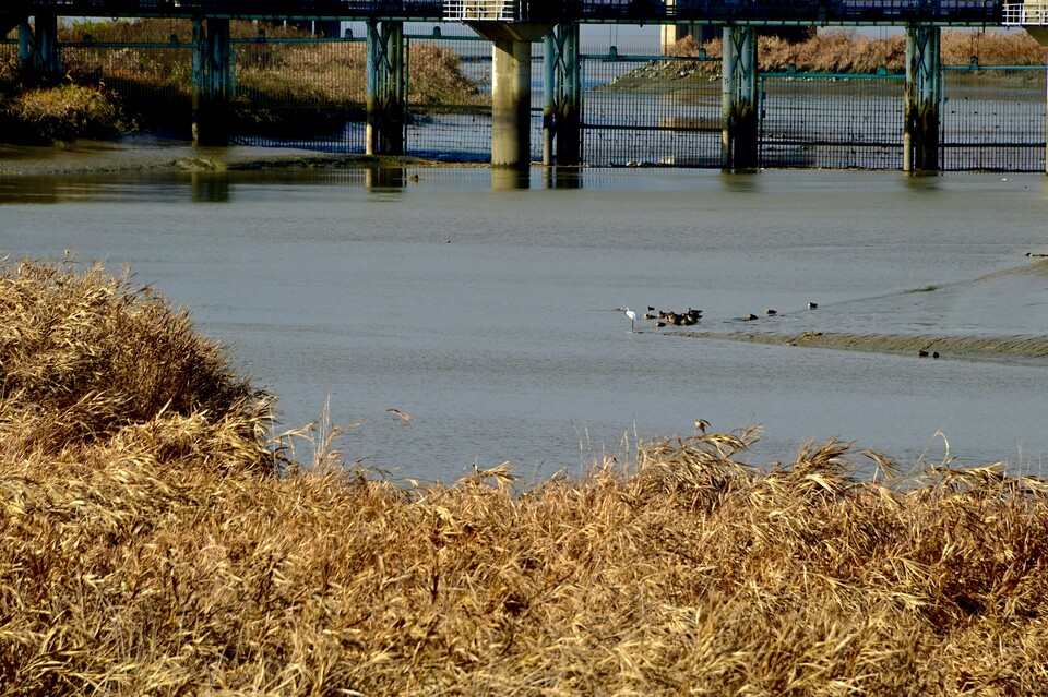 (사진 김인호 시민 제공)/뉴스펭귄