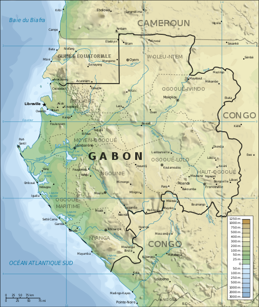 중앙아프리카 서쪽에 있는 국가 '가봉'. (사진 Wikimedia Commons)/뉴스펭귄