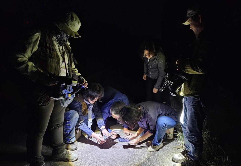 민통선 일원에서 반딧불이 서식지를 조사하는 모습. (사진 이강운 대기자)/뉴스펭귄
