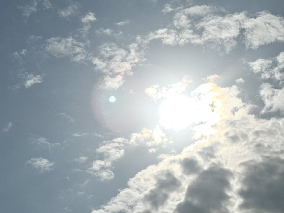 11월 중순 공릉천 하구로 겨울 철새 탐조를 나갔다. (사진 이동재 기자)/뉴스펭귄