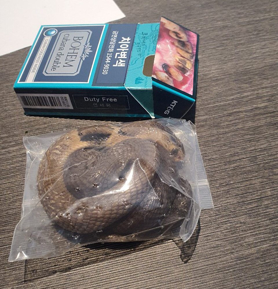 담뱃갑 안에 넣어 밀수된 뱀의 모습. (사진 인천공항세관)/뉴스펭귄