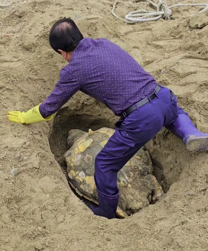 멸종위기 붉은바다거북 장례를 치르는 포항 주민. (사진 포항 주민 황성진 씨 SNS 캡처)/뉴스펭귄