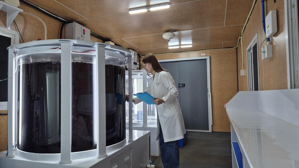 풀무원기술원 연구원이 수조 안에서 재배되고 있는 육상 양식 김을 연구하고 있다. (사진 풀무원)/뉴스펭귄