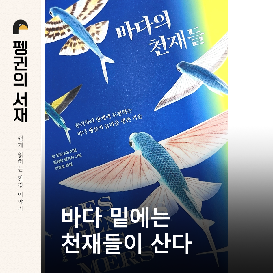 바다의 천재들(빌 프랑수아 지음. 이충호 옮김. 해나무)