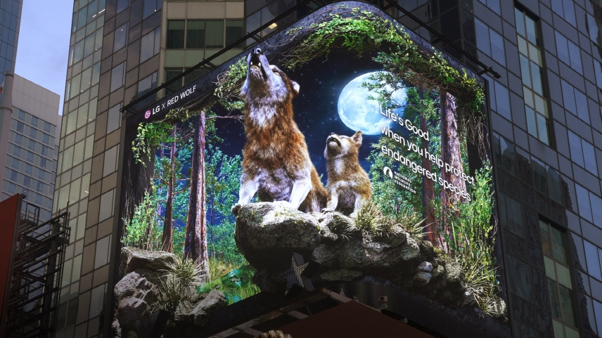LG전자가 멸종위기 동물에 대한 관심을 촉구하기 위해 타임스퀘어 전광판에 붉은늑대를 선보였다. (사진 LG전자)/뉴스펭귄