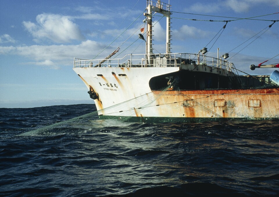 현재 우리나라의 해양보호구역 비율은 1.8% 수준으로, 목표인 30%를 달성하기 위해선 급진적인 보호구역 확대 정책이 필요하다. (사진 클립아트코리아)/뉴스펭귄