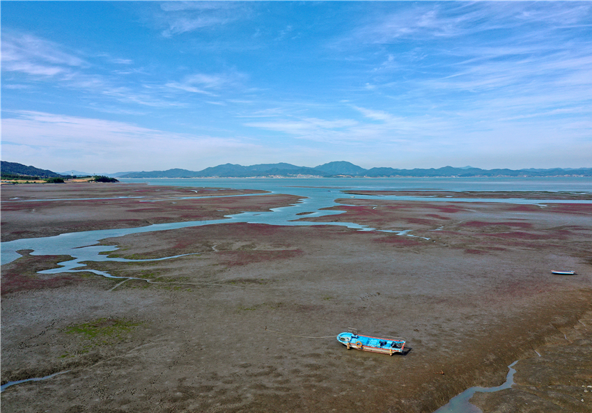 지난 10일 해양수산부는 전라남도 무안 갯벌의 습지보호지역을 기존의 함평만 갯벌에서 탄도만 주변까지 넓혀 지정한다고 밝혔다. (사진 해양수산부)/뉴스펭귄