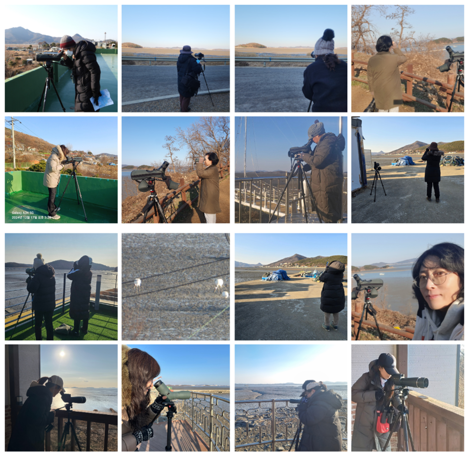 (사진 인천두루미네트워크 사무국 가톨릭환경연대)