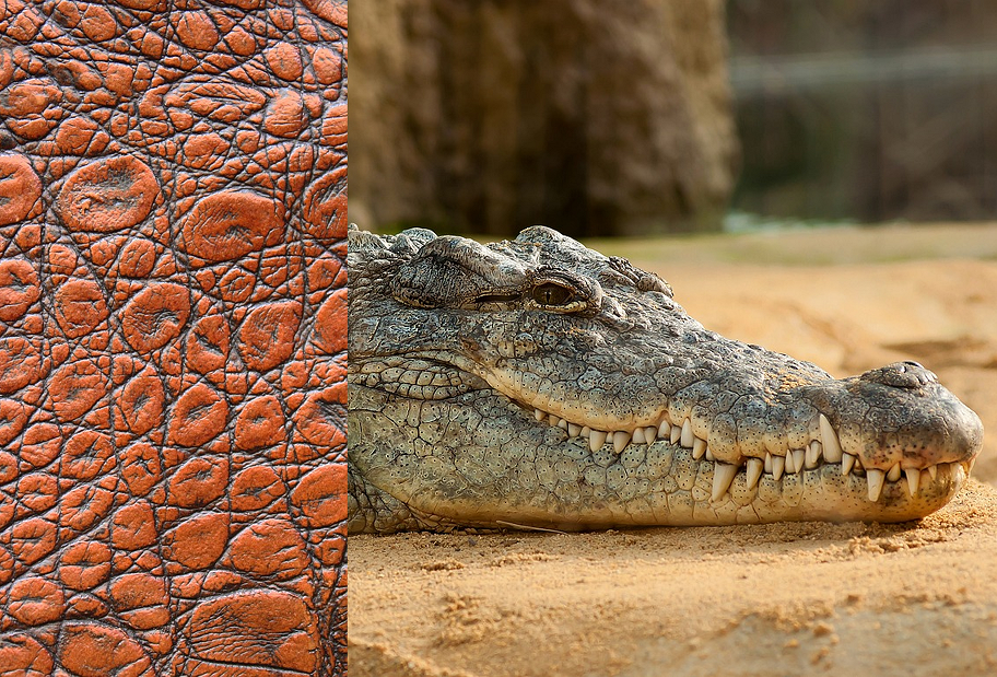 기사 내용과 직접적인 관련이 없는 사진. (사진 Pixabay)/뉴스펭귄