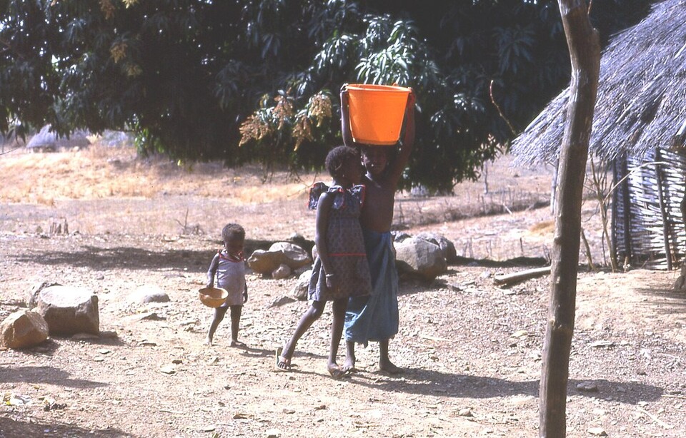 세계보건기구에 따르면 주혈흡충증은 말라리아에 이어 두 번째로 흔한 기생충병으로 주로 사하라 사막 이남 아프리카에서 발생한다. ※사진은 이해를 돕기 위한 것으로 기사의 내용과 직접적인 관련이 없습니다. (사진 wikimedia commons)/뉴스펭귄