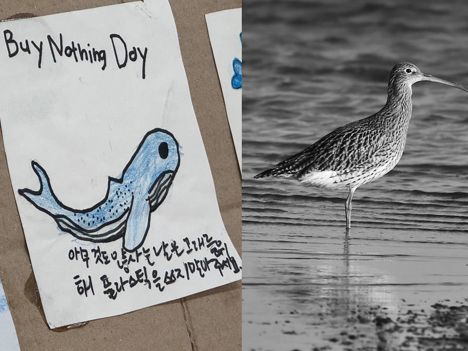 (사진 본사DB, Pixabay)/뉴스펭귄