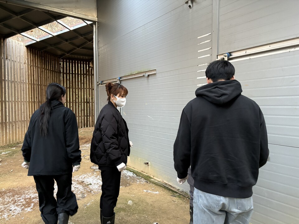 지난 23일, 세 명의 봉사자가 충북야생동물센터에서 활동하고 있다. 왼쪽부터 김진경, 조혜진, 권혁재 씨. (사진 배진주 기자)/뉴스펭귄