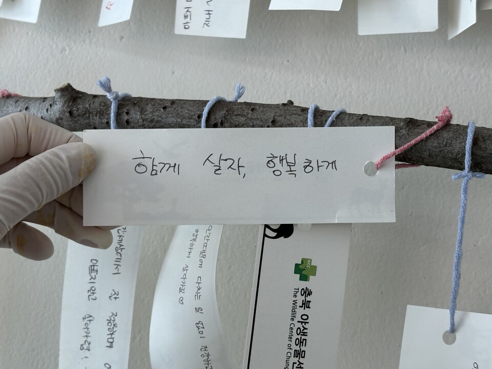 충북야생동물센터에 있는 편지다. 익명의 누군가가 야생동물에게 보냈다. 