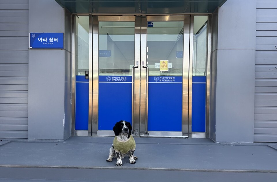 공사 후 은퇴견 전용 견사. (사진 관세청 관세인재개발원)/뉴스펭귄