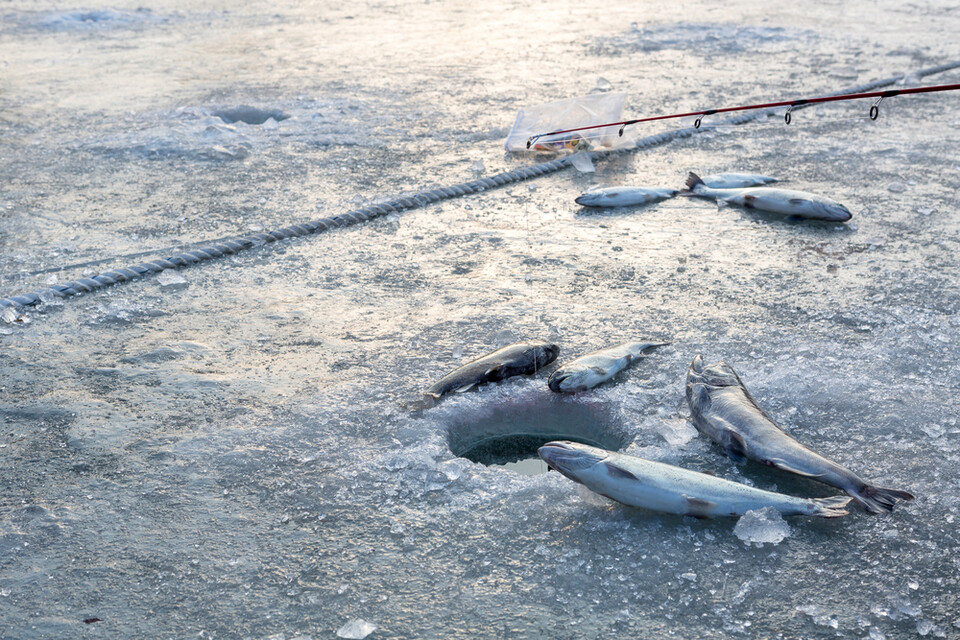 사진은 독자 이해를 돕기 위한 이미지로 기사 특정 내용과 관계없음. (사진 클립아트코리아)/뉴스펭귄