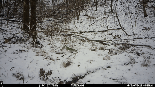 (영상 국립공원공단 제공)/뉴스펭귄