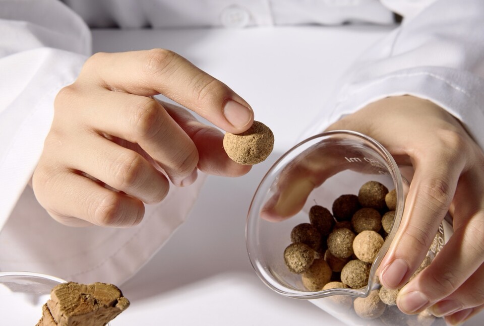 새끼손가락 한마디 정도 크기의 씨드볼. 지름은 약 2cm, 무게는 2g 정도로 도토리보다 작다. (사진 인베랩)/뉴스펭귄