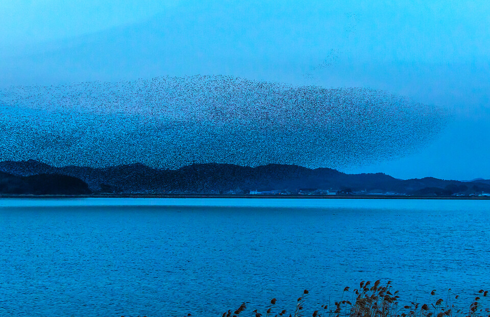ÇÏ´ÃÀ» µÚ µ¤Àº ¼¼ ¶§. µ¶ÀÚ ÀÌÇØ¸¦ µ½±â À§ÇÑ À̹ÌÁö·Î ±â»ç ¼Ó ƯÁ¤ ³»¿ë°ú °ü°è¾øÀ½. (»çÁø Ŭ¸³¾ÆÆ®ÄÚ¸®¾Æ)/´º½ºÆë±Ï
