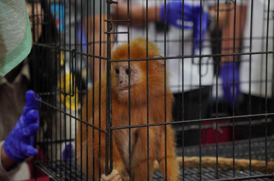 (사진 INTERPOL)/뉴스펭귄