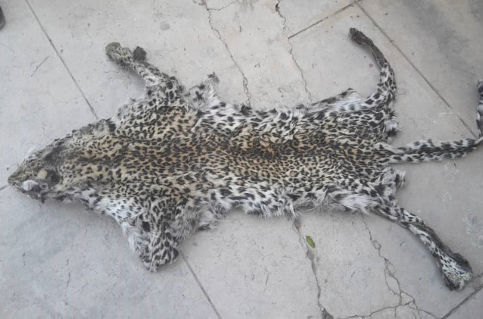 불법 거래된 야생동물의 수요는 애완용, 의약품, 수집품, 식재료 등 순으로 많은 것으로 나타났다. (사진 INTERPOL)/뉴스펭귄