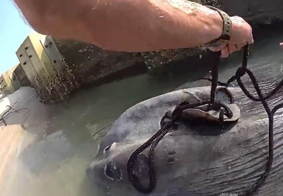 (사진 볼루시아카운티 보안관 공식 페이스북)/뉴스펭귄