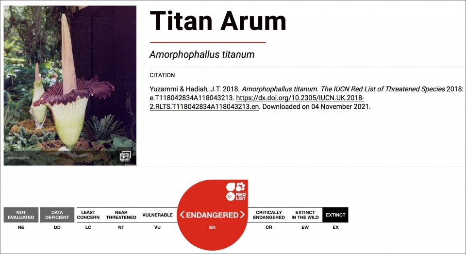 시체꽃 세계자연보전연맹 적색목록 등급 (사진 IUCN)/뉴스펭귄