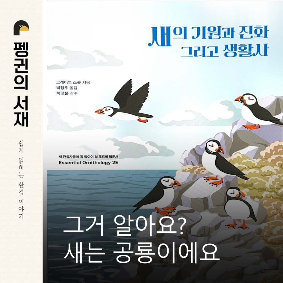 새의 기원과 진화 그리고 생활사 (그레이엄 스콧 지음 박정우 옮김 하정문 감수. 지오북)