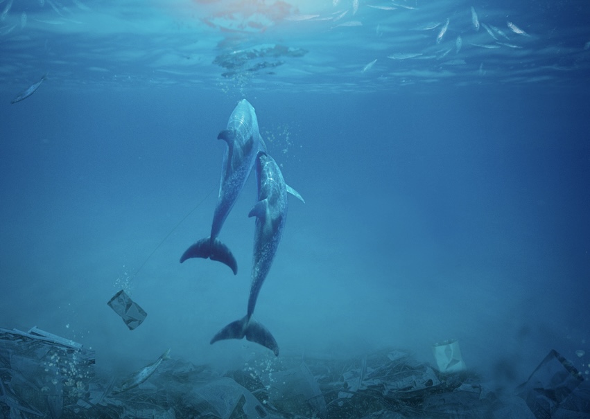   인간의 자본주의 활동과 개발이 불러온 환경오염과 기후변화라는 단어 아래 수많은 생명체가 위기에 처해 있다. (사진 클립아트코리아)/뉴스펭귄