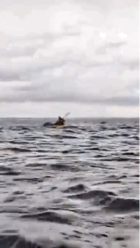 (영상 dell simancas 유튜브 캡처)/뉴스펭귄