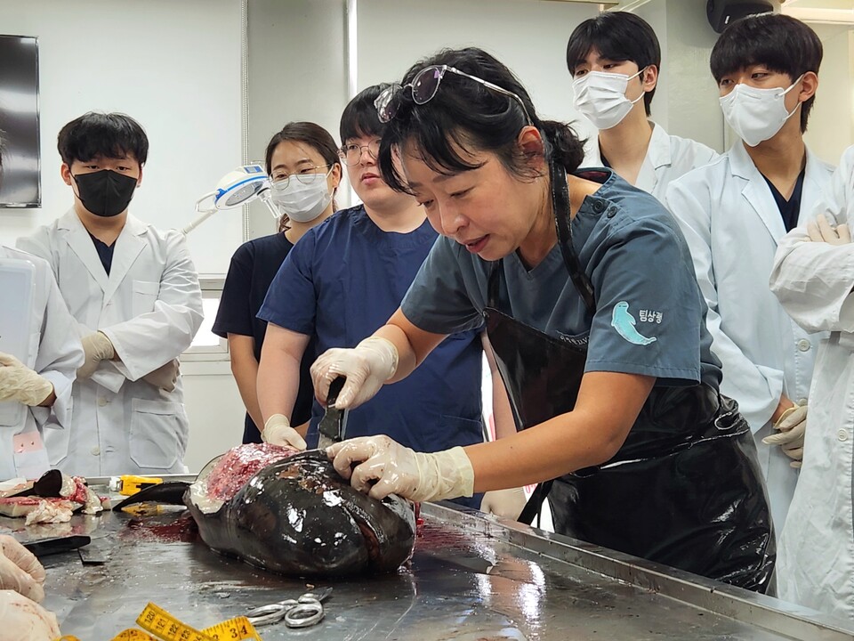 (사진 플랜오션 제공)/뉴스펭귄