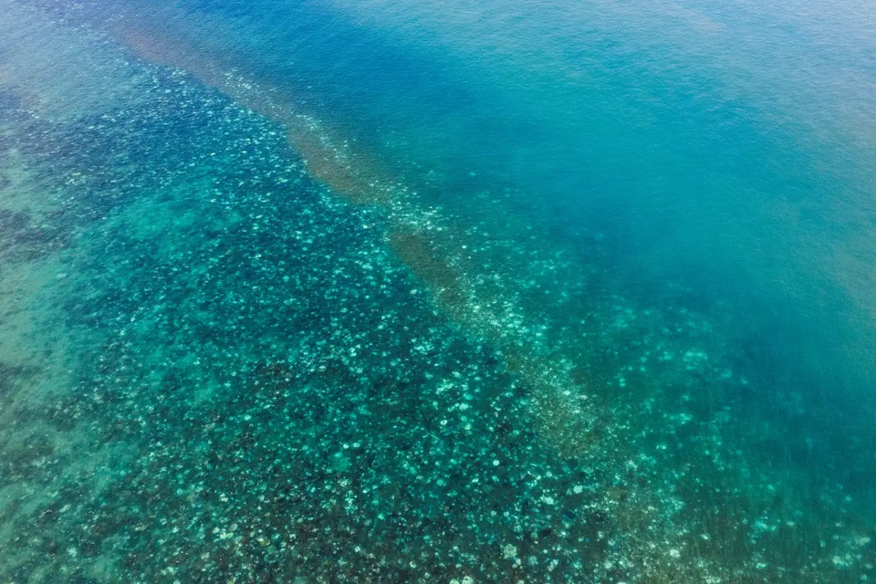 (사진 Blue Media Exmouth)/뉴스펭귄