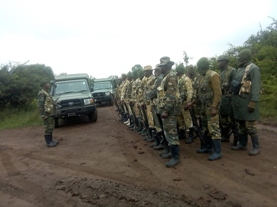 (사진 케냐 야생동물관리청 KWS)/뉴스펭귄