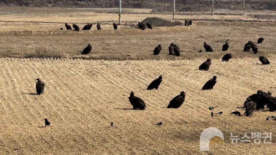 (사진 우다영 기자)/뉴스펭귄
