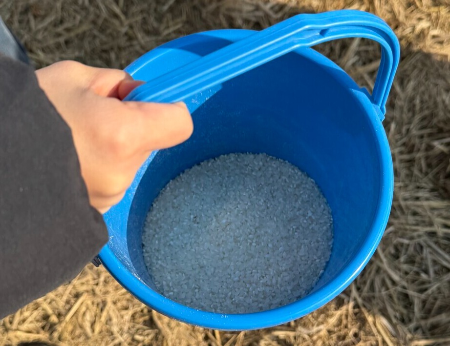 (사진 우다영 기자)/뉴스펭귄